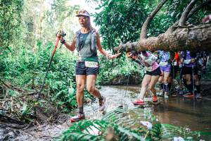 BIB: 
                            <button type="button" onclick="openModal(25470799)" class="btn btn-primary btn-sm float-right btn-popup" data-toggle="modal" data-target=".modal-high-quality">
                        <i class="fas fa-shopping-cart"></i> Add to Cart
                    </button>
                                            <button type="button" onclick="isThisMe(25470799, true)" class="btn btn-success btn-sm float-right btn-popup btn-isme hidden" data-toggle="tooltip" data-placement="bottom" title="นี่คือรูปของคุณใช่ไหม คลิกที่นี่เพื่อเอาเข้าอัลบั้ม">
                        <i class="fas fa-plus"></i> Add to album
                    </button>
                    <button type="button" onclick="isThisMe(25470799, false)" class="btn btn-warning btn-sm float-right btn-popup btn-isnotme hidden">
                        <i class="fas fa-ban"></i> Remove from album
                    </button>